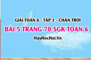 Giải bài 5 trang 70 Toán 6 Tập 1 SGK Chân trời sáng tạo